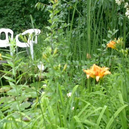 Urlaub Am Feigenbaum In By Interhome